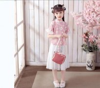 粉色公主系列花童小礼服2020-120¥